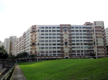 Blk 534 Hougang Street 52 (S)530534 #238492